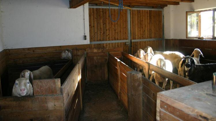 Michelas - Hof Umhausen Eksteriør bilde